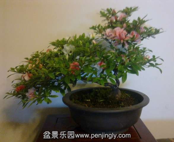 201405122739.jpg