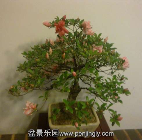 201405122741.jpg
