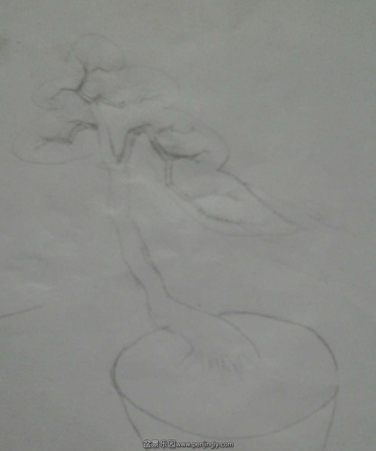 20140512_222610.jpg