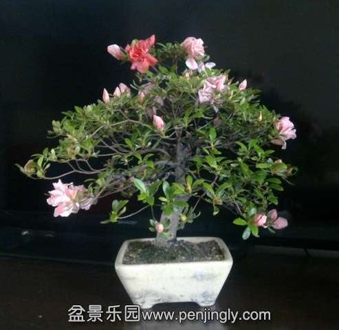 201405132753.jpg
