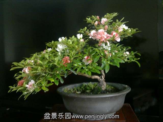 201405132750.jpg