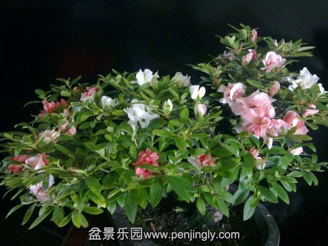 201405132751.jpg