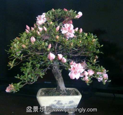 201405132752.jpg