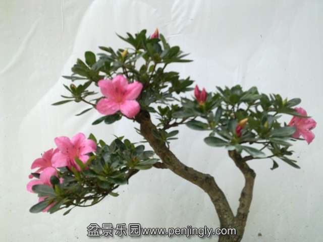 201405142764.jpg