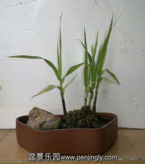201405152786.jpg