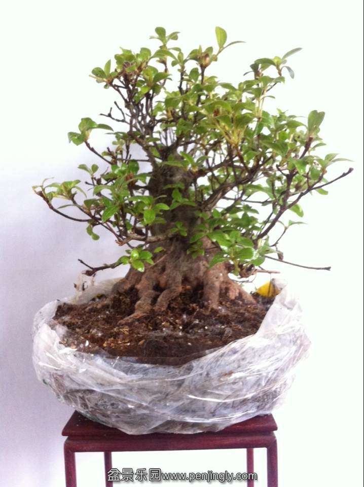 QQͼƬ20140515165953.jpg