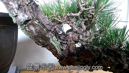 20140515_154151__.jpg