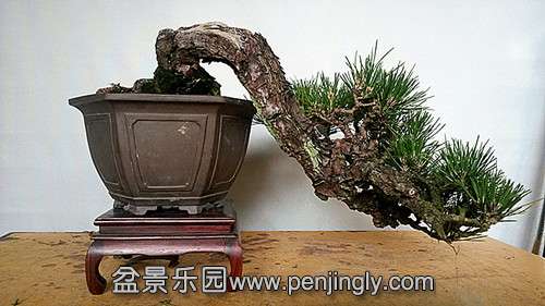 20140515_154157__.jpg