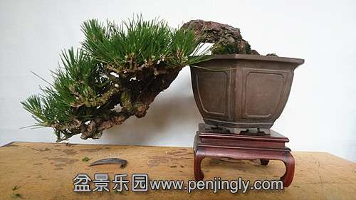 20140515_154225__.jpg