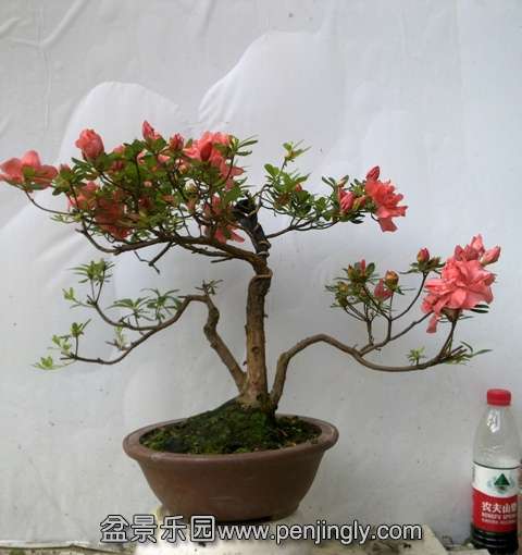 201405162794.jpg