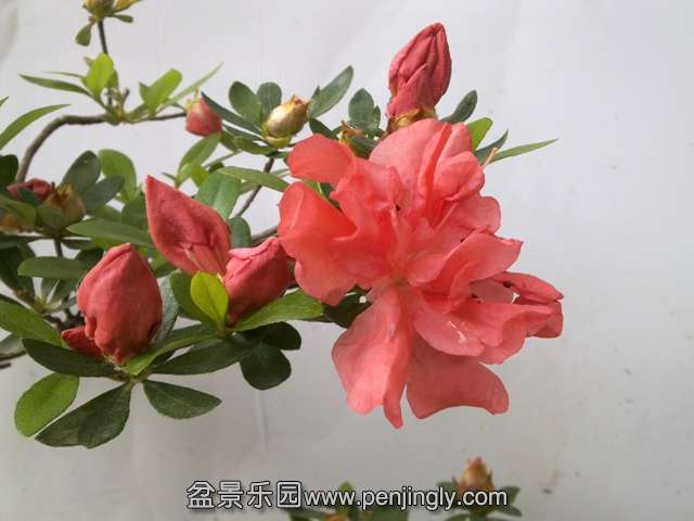 201405162795.jpg