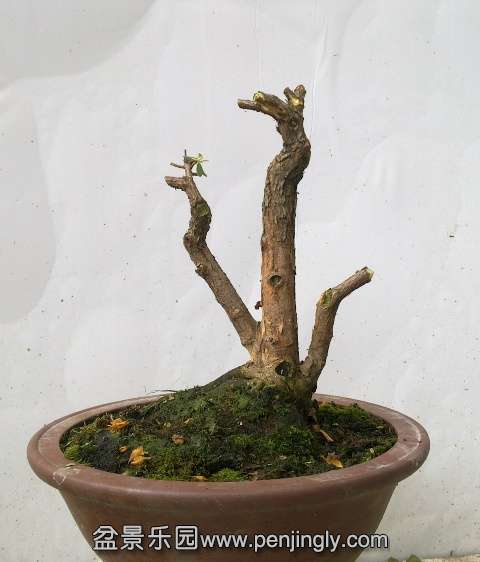 201405162797.jpg