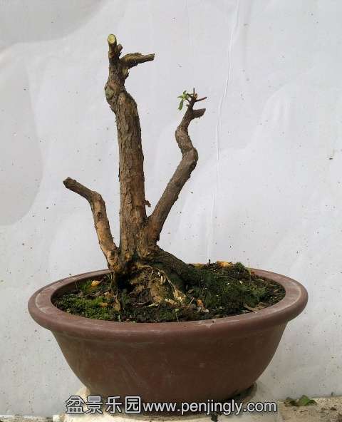 201405162796.jpg