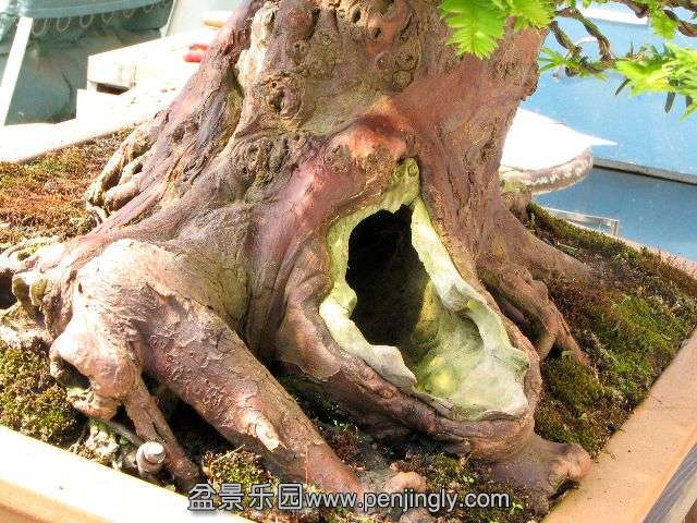 yew_slideshow12.jpg