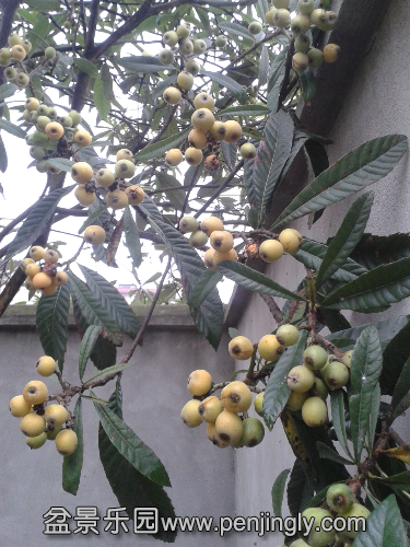 20140516_163042.jpg