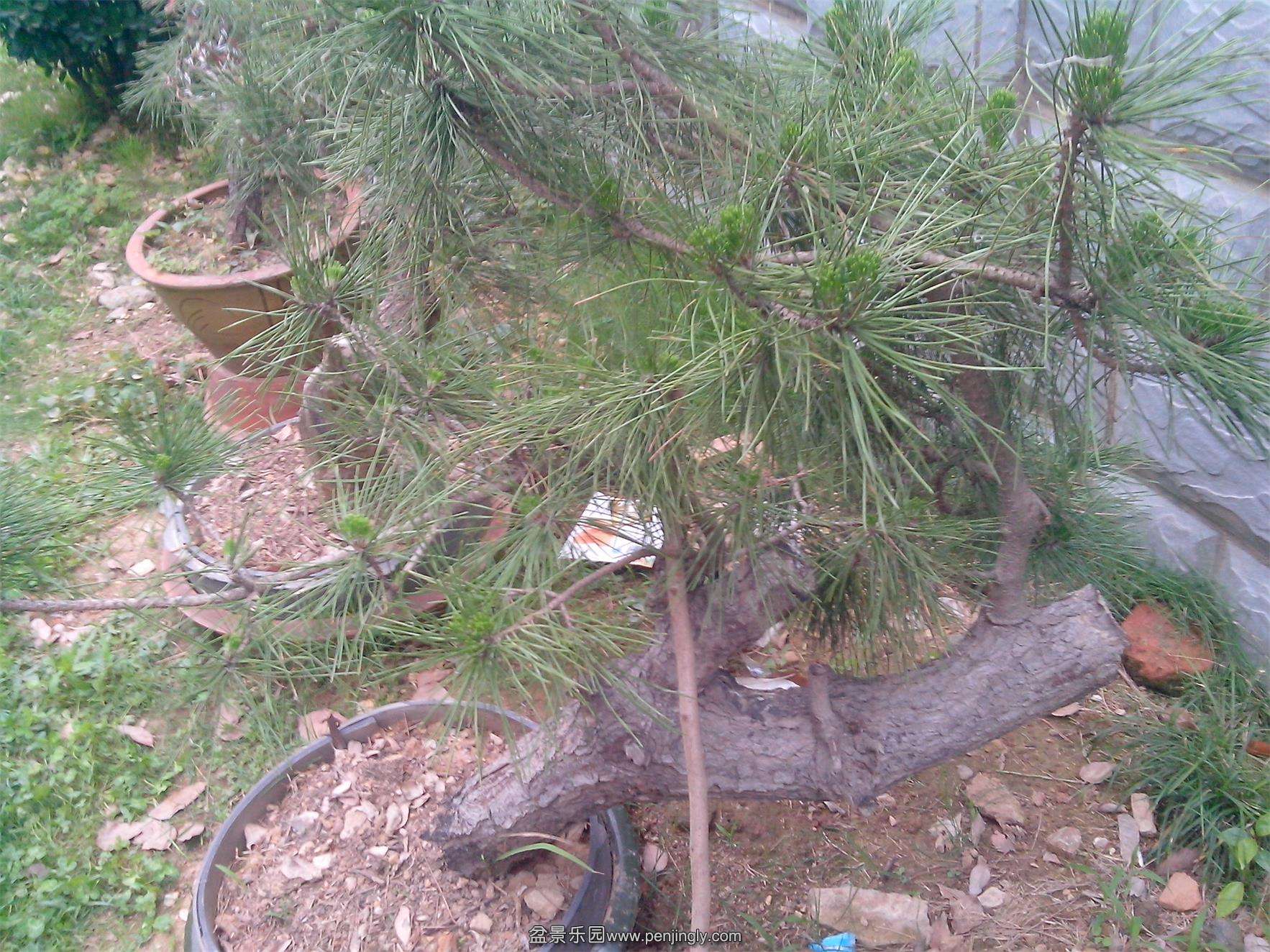 IMG20140516003.jpg