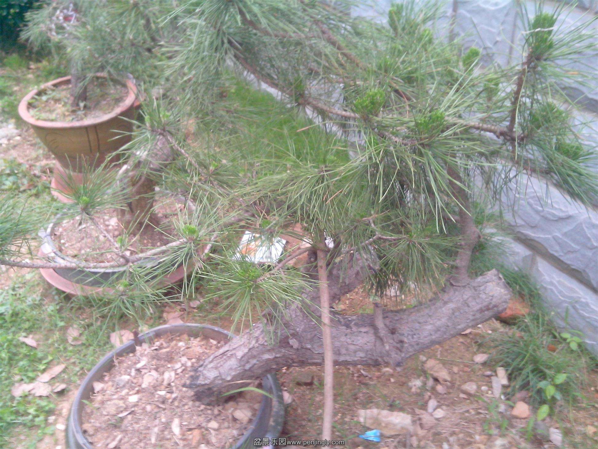 IMG20140516004.jpg