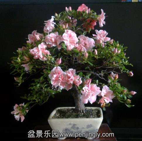 201405162801.jpg