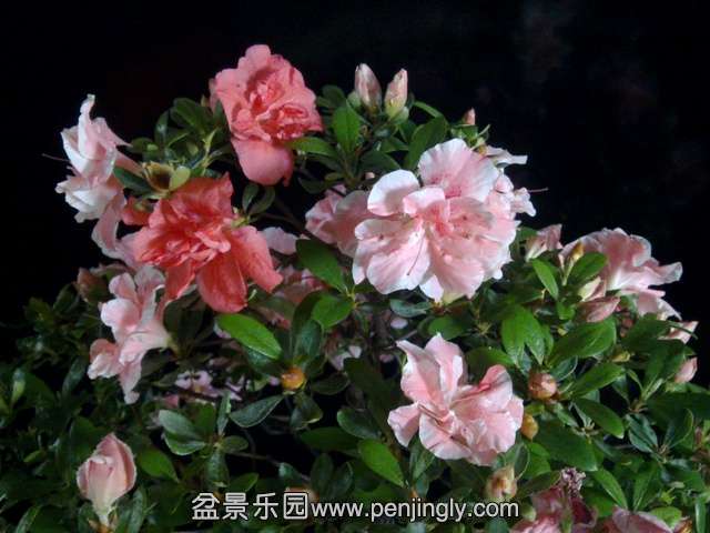 201405162803.jpg