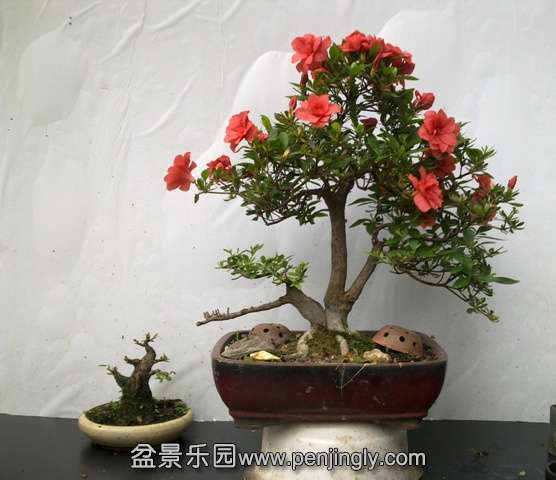 201405172814.jpg