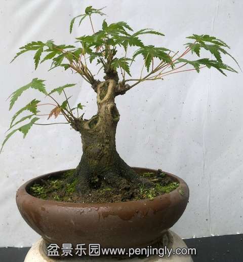 201405172830.jpg