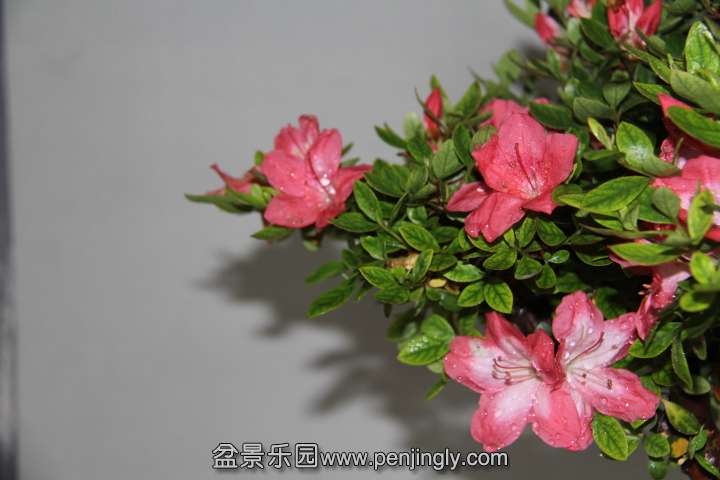 IMG_1558.JPG