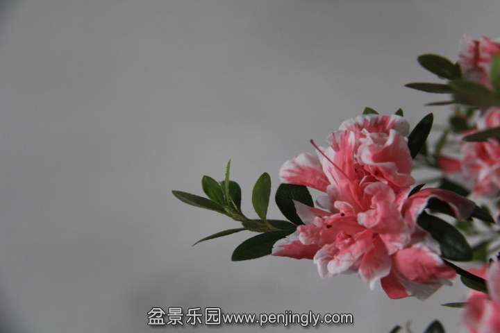 IMG_1564.JPG
