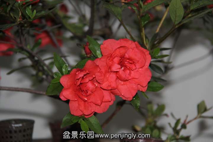 IMG_1571.JPG