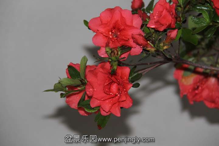 IMG_1572.JPG
