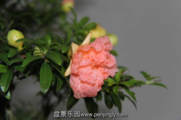 IMG_1576.JPG