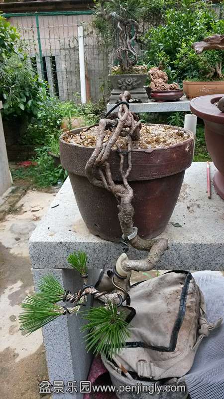 20140517_155555_.jpg