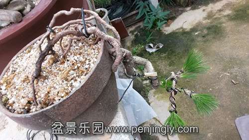 20140517_155620_.jpg
