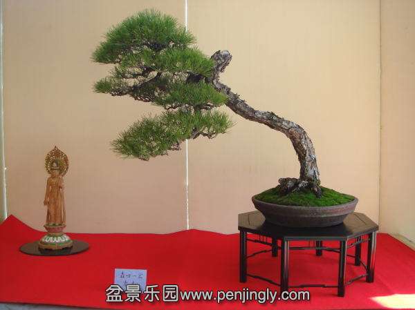 24kai-kihatikai-morita-kazuhiro-dai.jpg