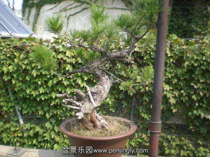 2010������������Ƭ 095.jpg