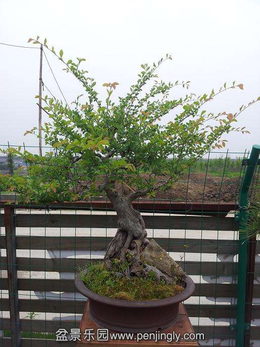 20140517_104654.jpg