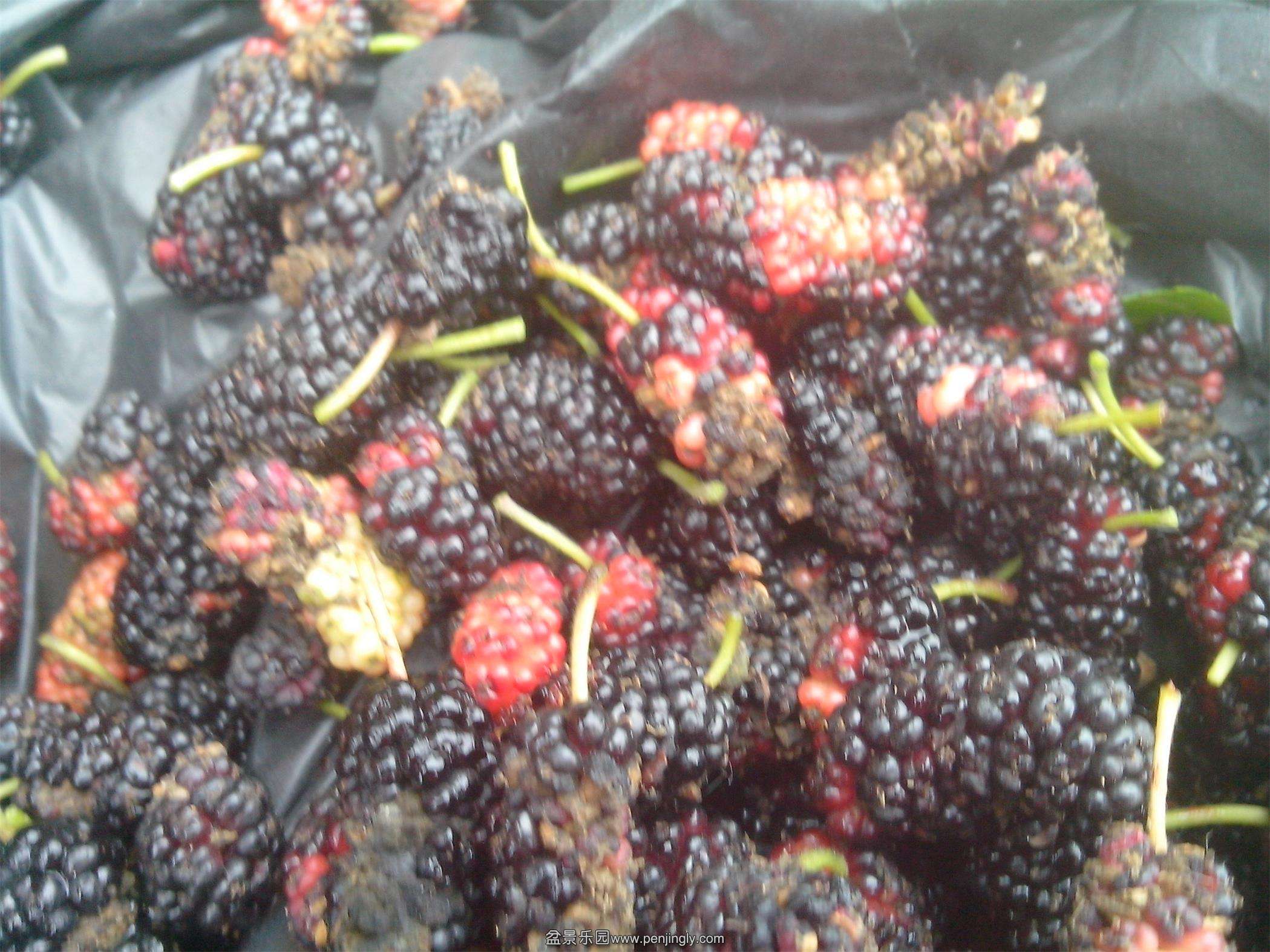 IMG20140517005.jpg