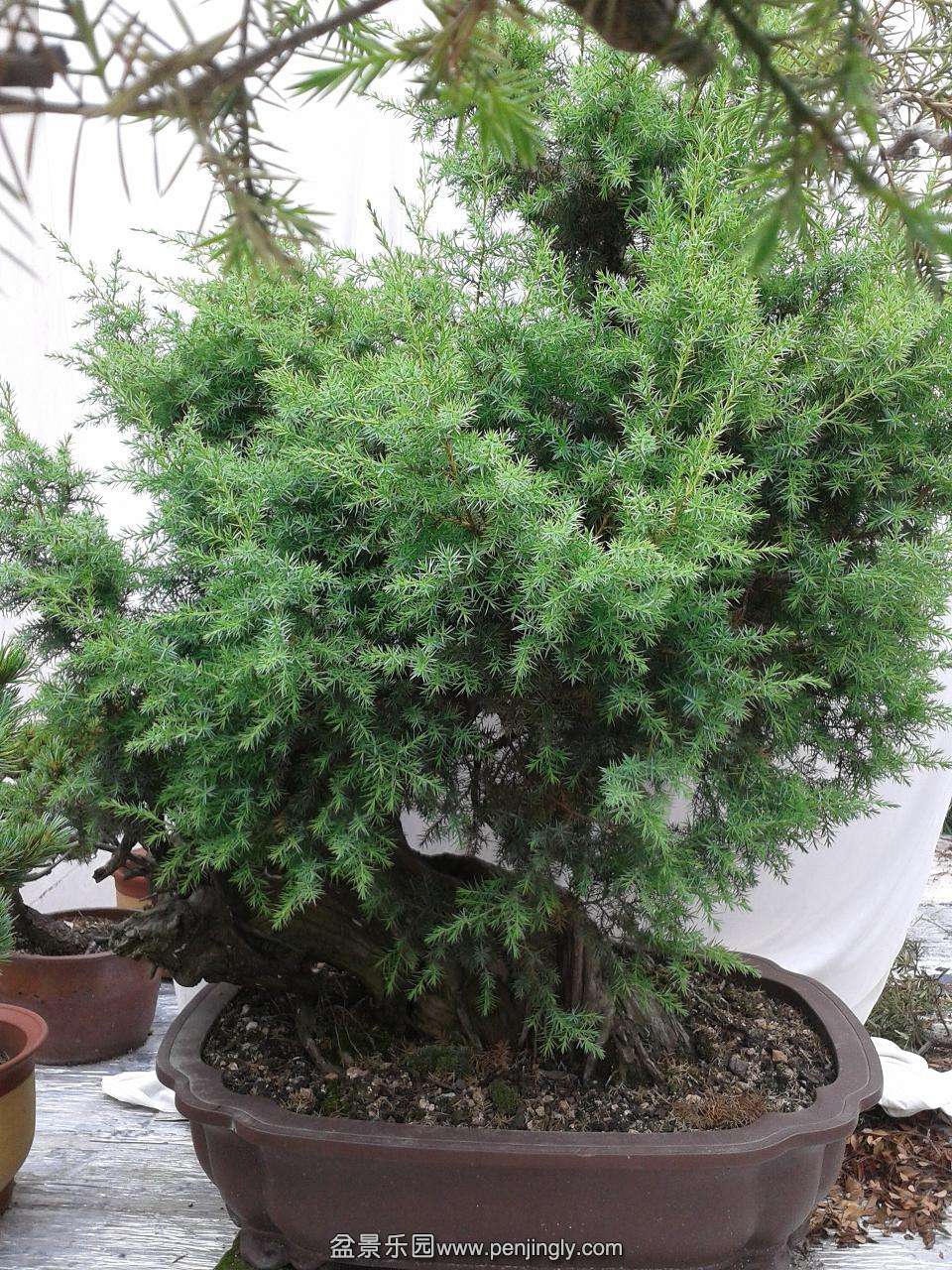 2014-05-19 10.28.18.JPG