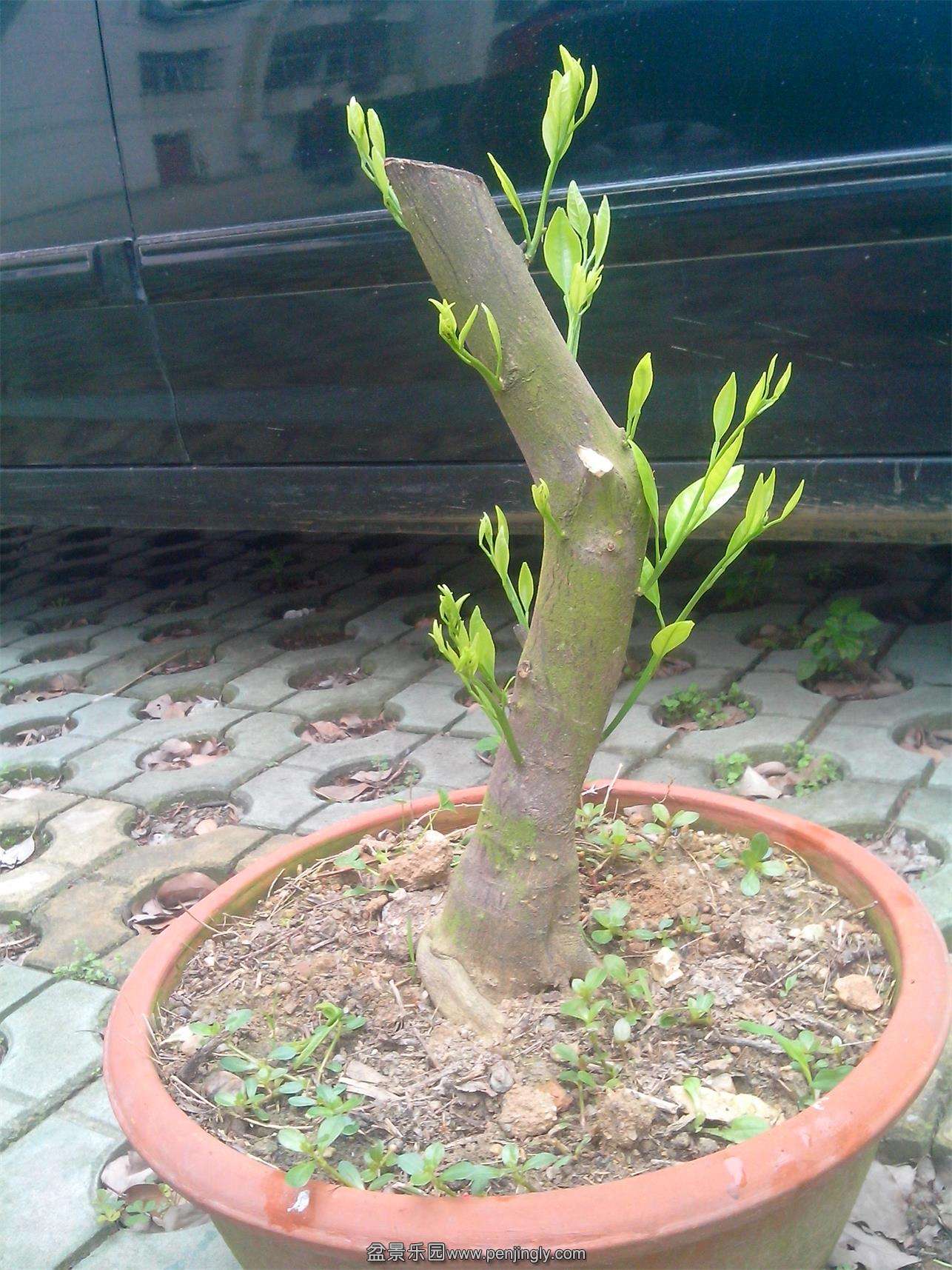 IMG20140520001.jpg