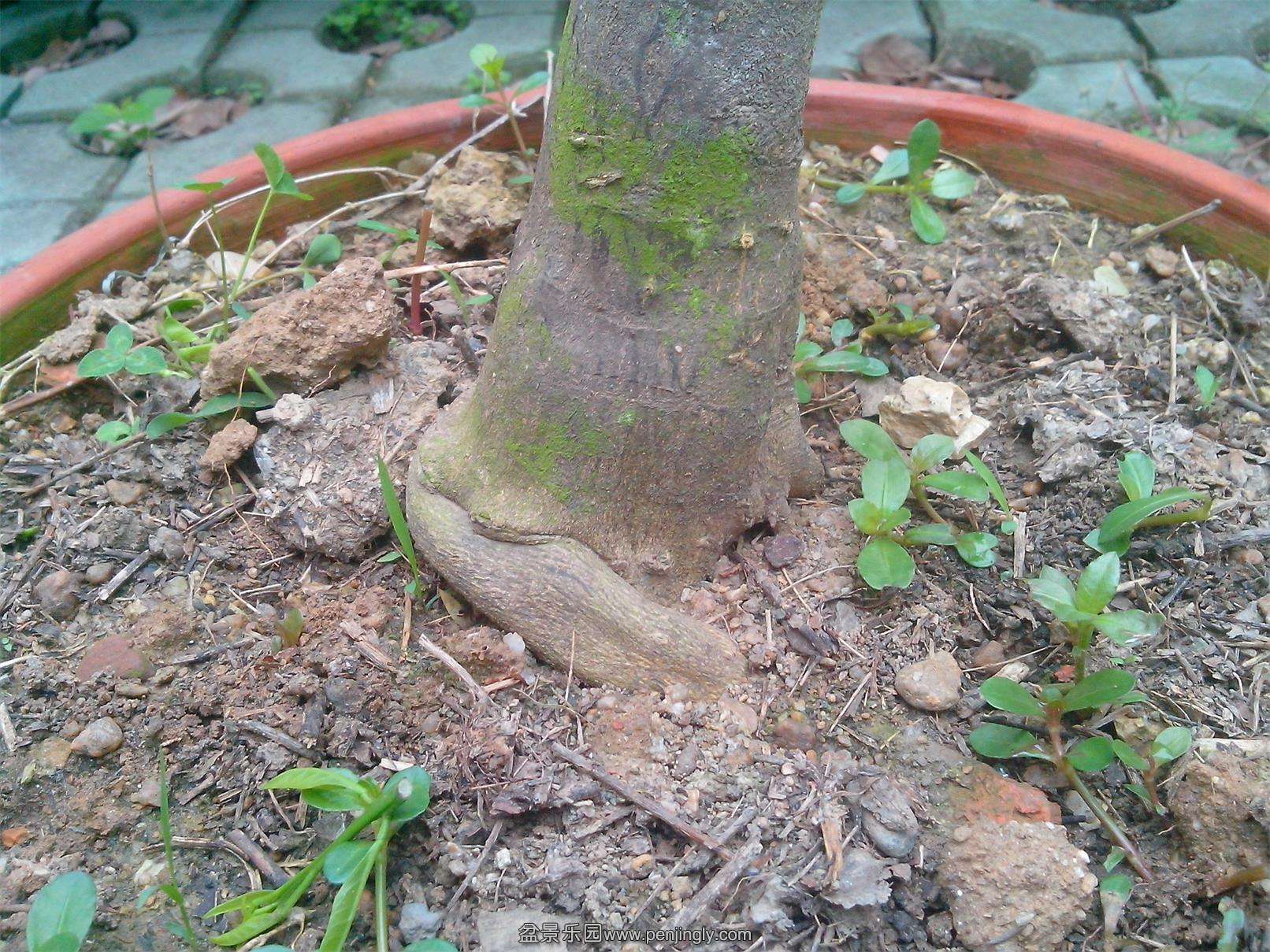 IMG20140520002.jpg