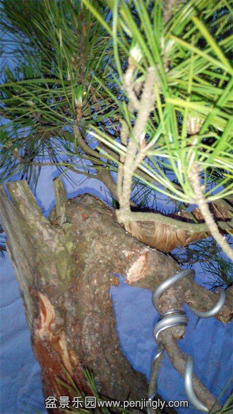 IMG_20140522_191515.jpg