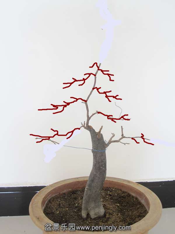 20131129 (1)_2.jpg