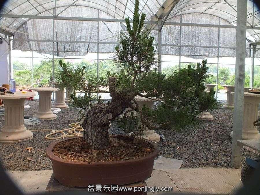 ⼪辰145 004.jpg