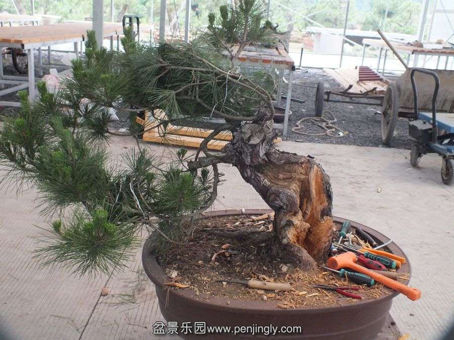 ⼪辰145 021.jpg