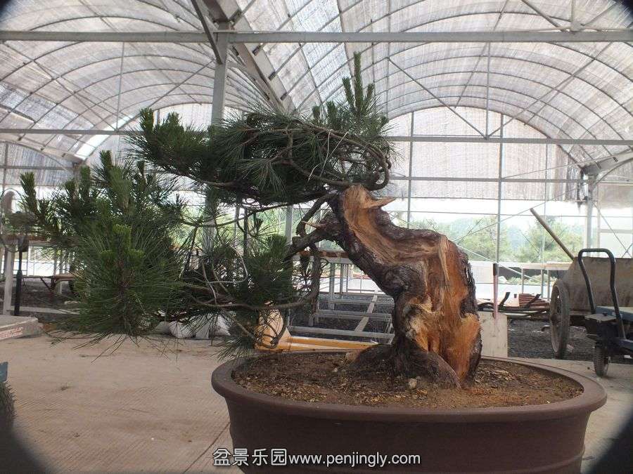 ⼪辰145 028.jpg