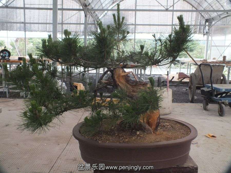 ⼪辰145 030.jpg