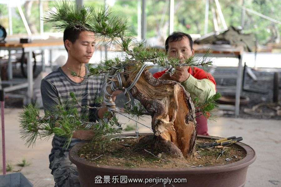 ⼪辰145 048.jpg