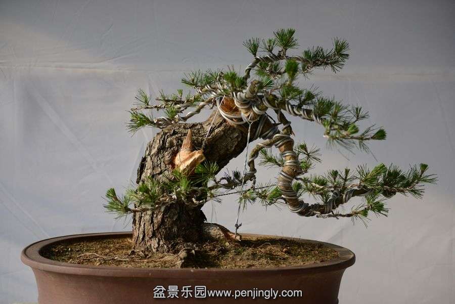⼪辰145 075.jpg