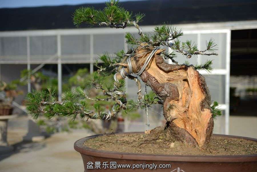 ⼪辰145 109.jpg