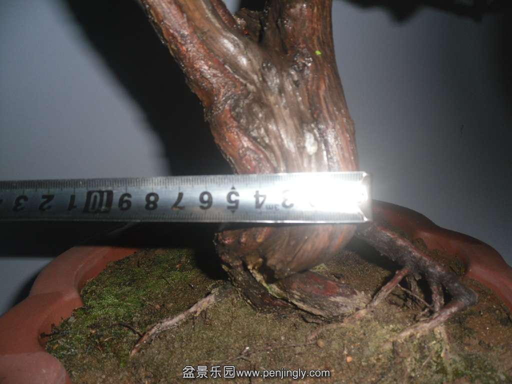SAM_1307.JPG