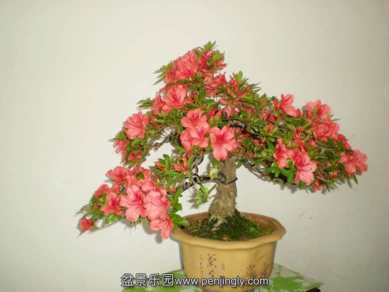 DSCN2738_.jpg